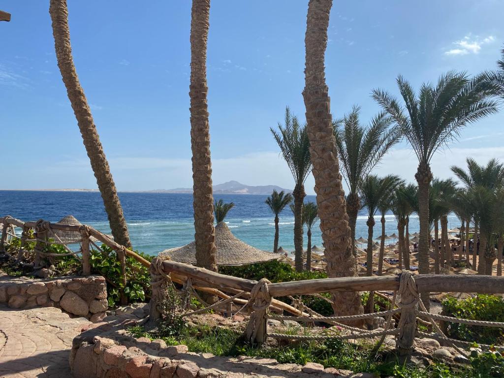 Nubian Island 5* - отель из списка рекомендованных